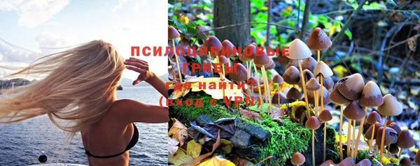 a pvp Куйбышев
