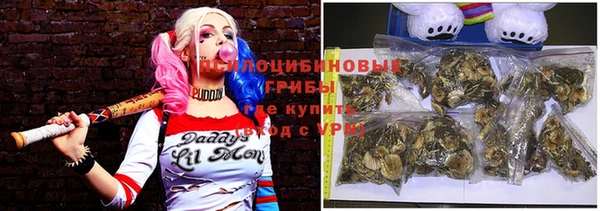 PSILOCYBIN Краснослободск