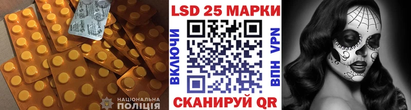 дарнет шоп  МЕГА   Лсд 25 экстази кислота  Котельнич 